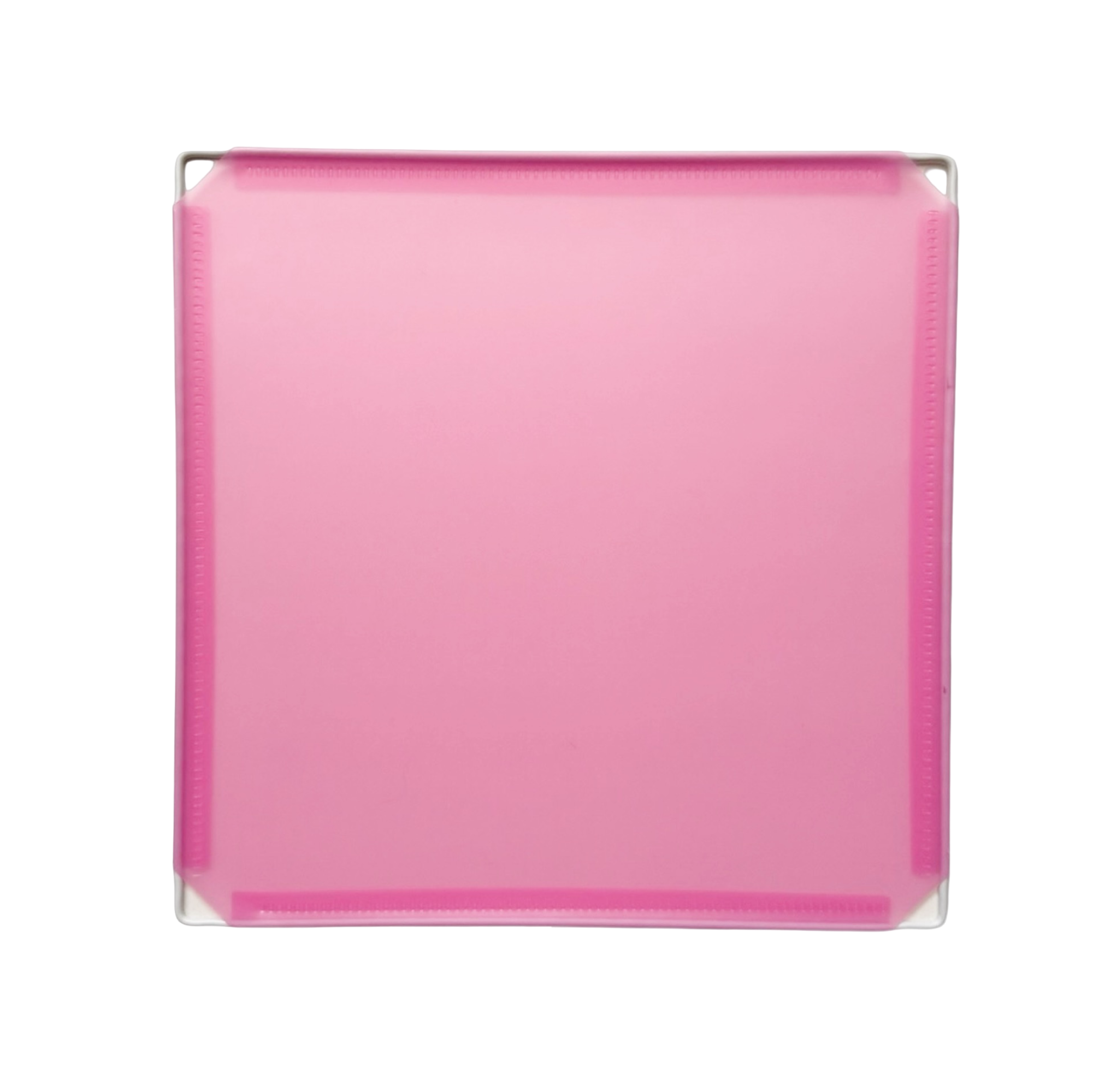 Color_Pink_Blossom_Shape_Square