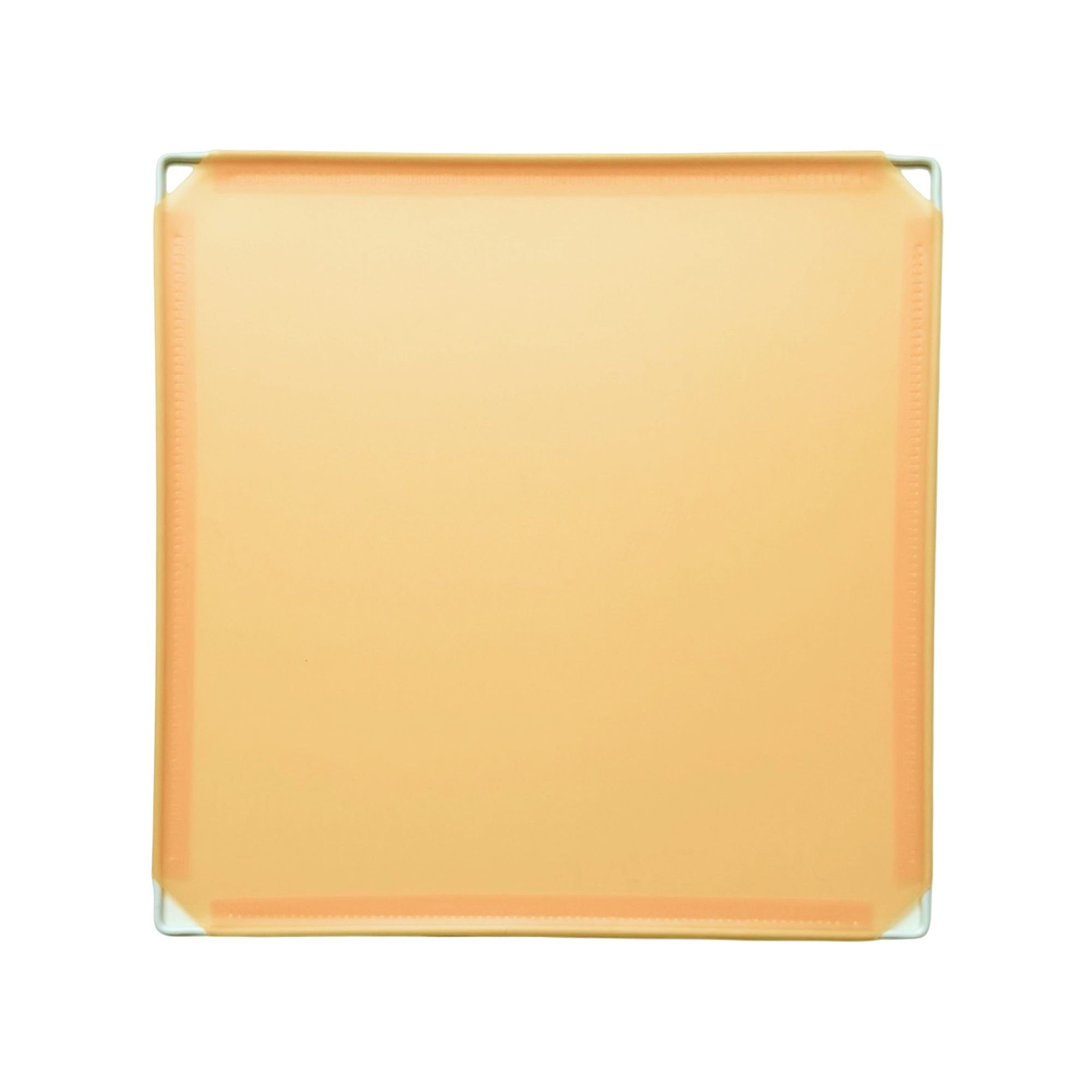 Color_Yellow_Mustard_Shape_Square