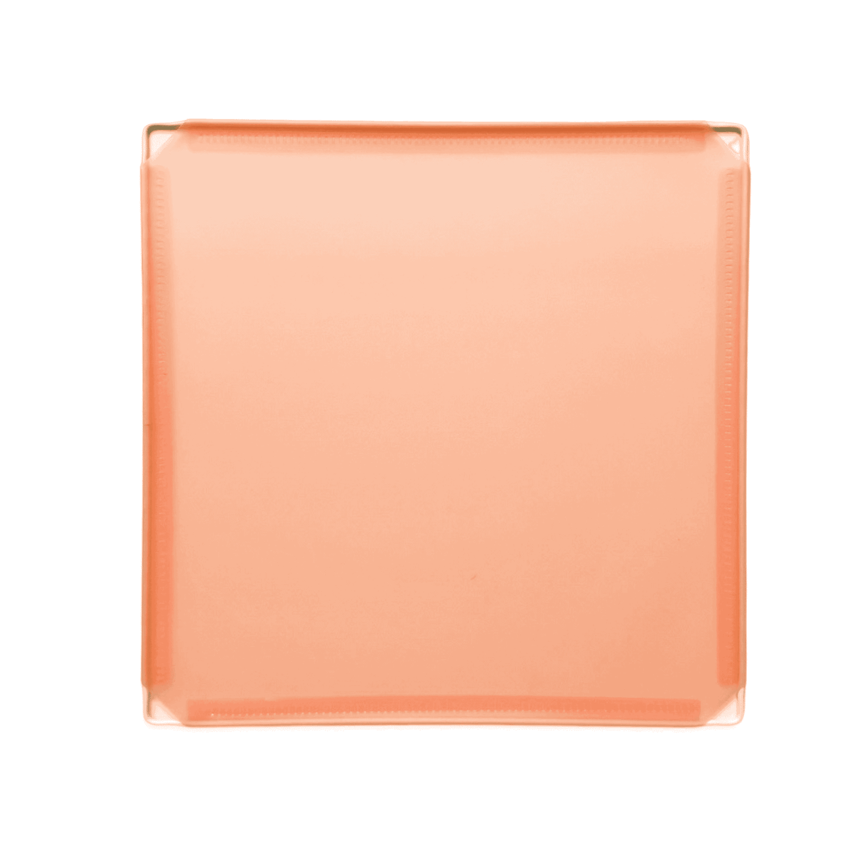 Frosted Peachy Orange (PMS 169C)